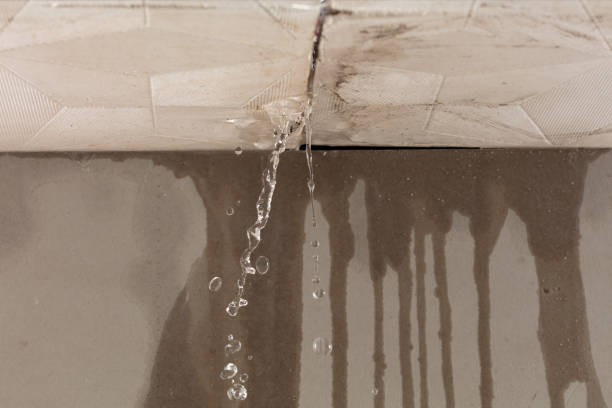 Professional Commercial Water Damage Restoration technician working in Madisonville, TN